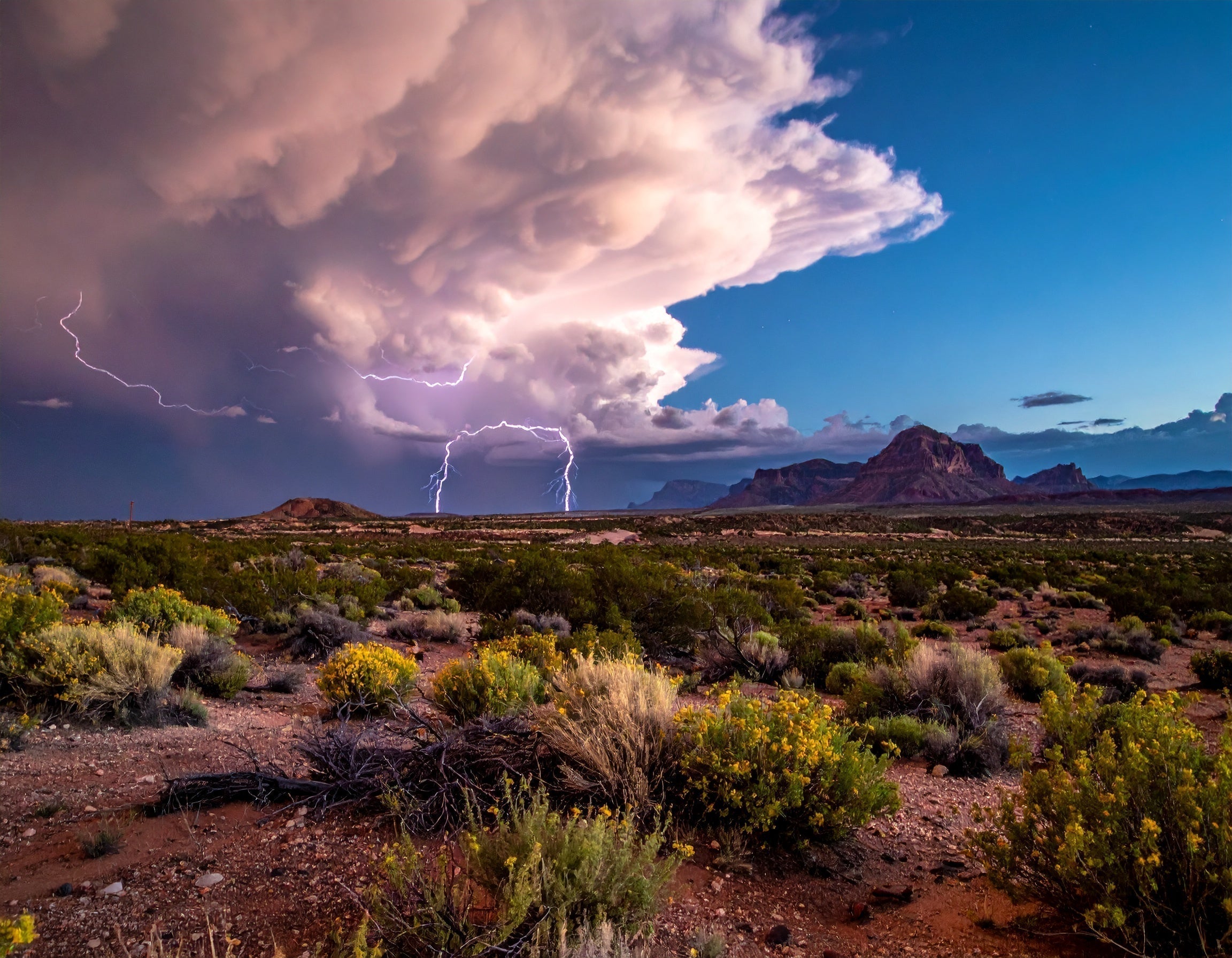 Bleeding Stories & Building Worlds: Why I Had to Write West of Nowhere